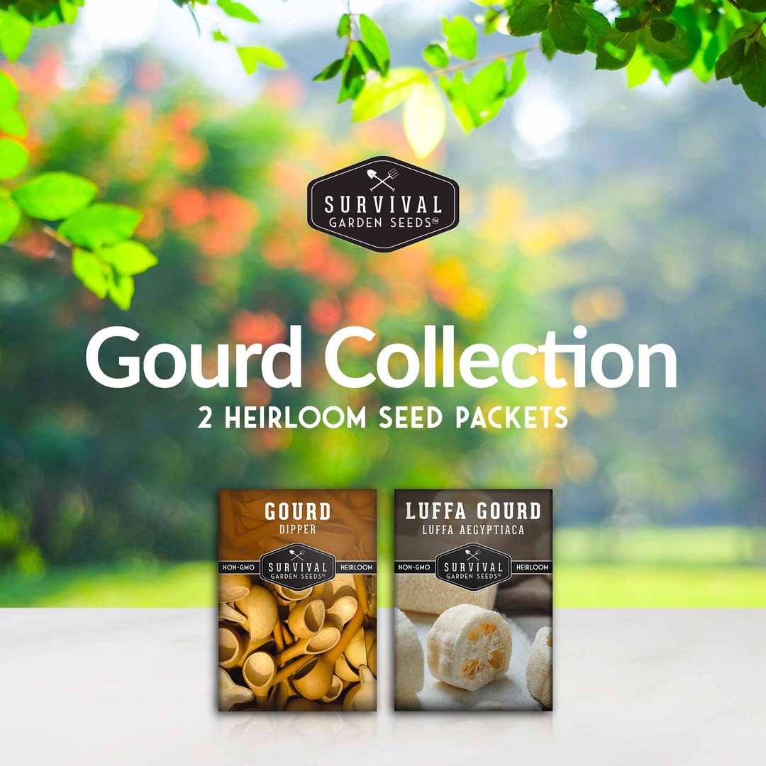 Gourd Seed Collection - 2 heirloom varieties of gourds