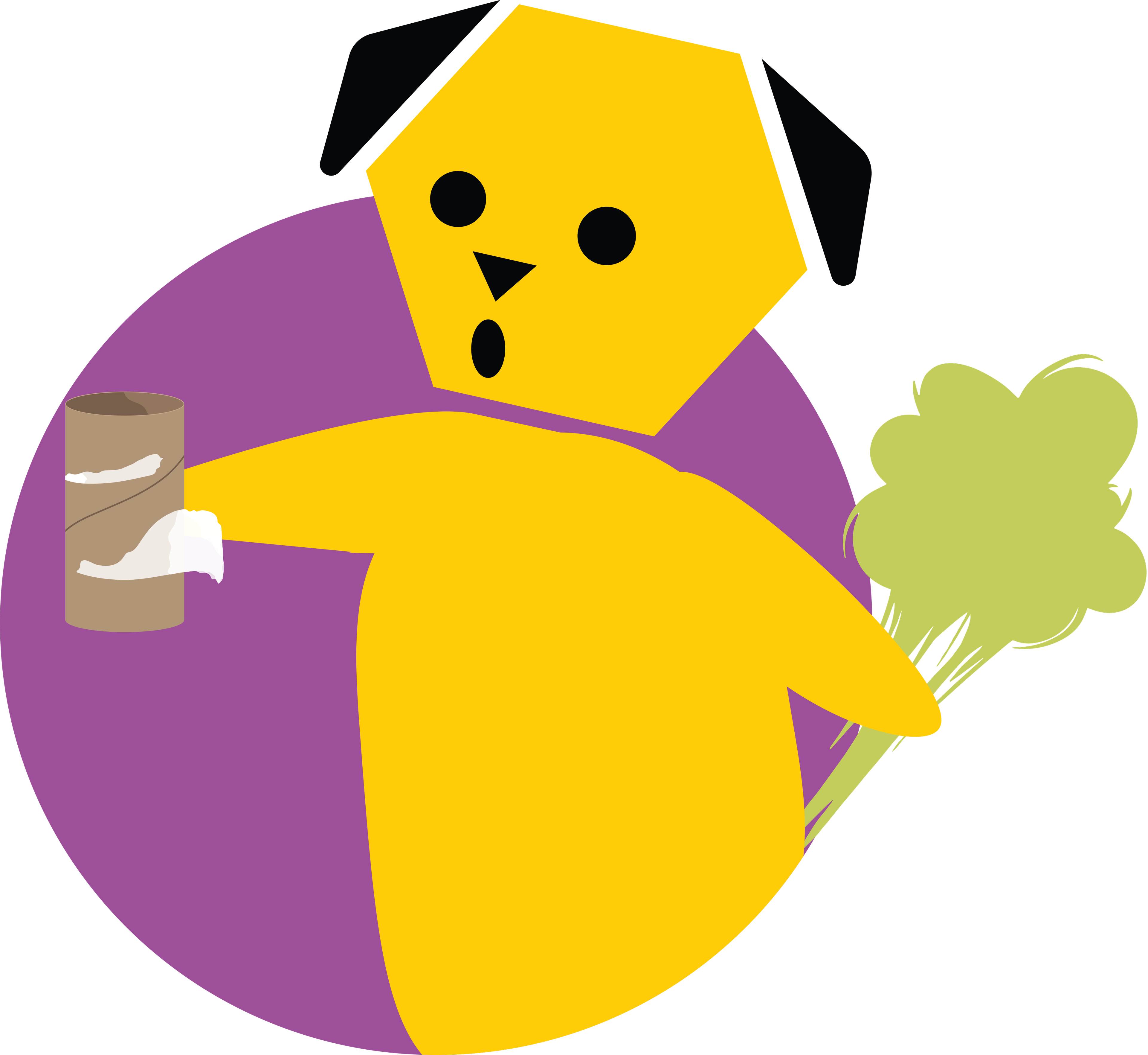 Janjetina