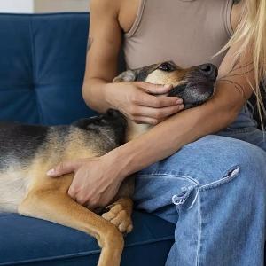 Best Dog Names