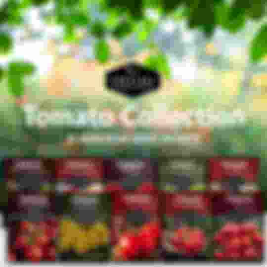 10 Tomato Seed Collection