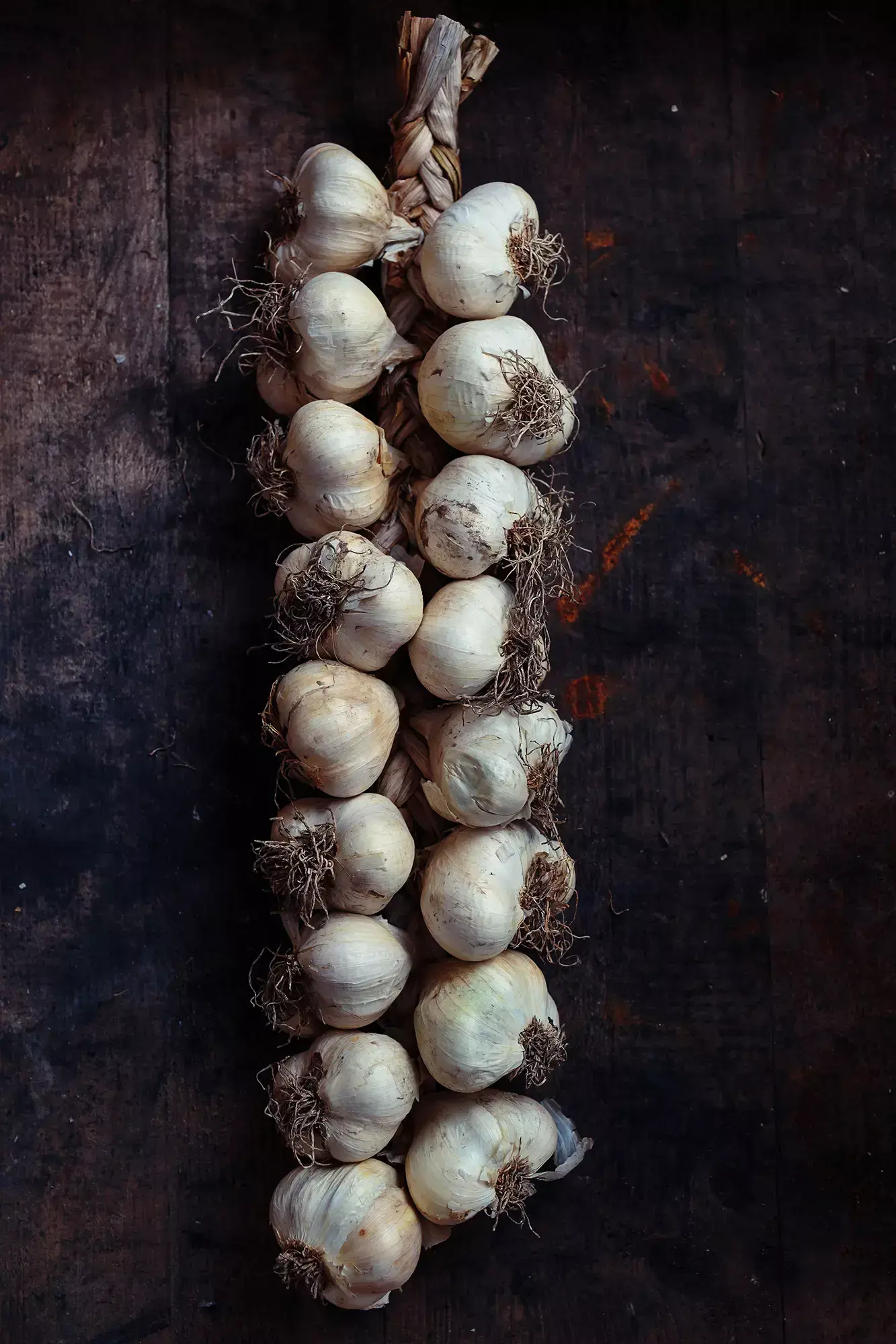 Braided garlic bulbs hanging for drying and storage on a dark background.