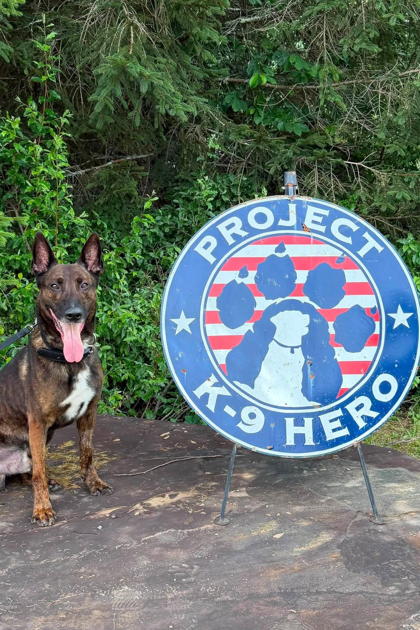 mwd archer at Project K-9 Hero