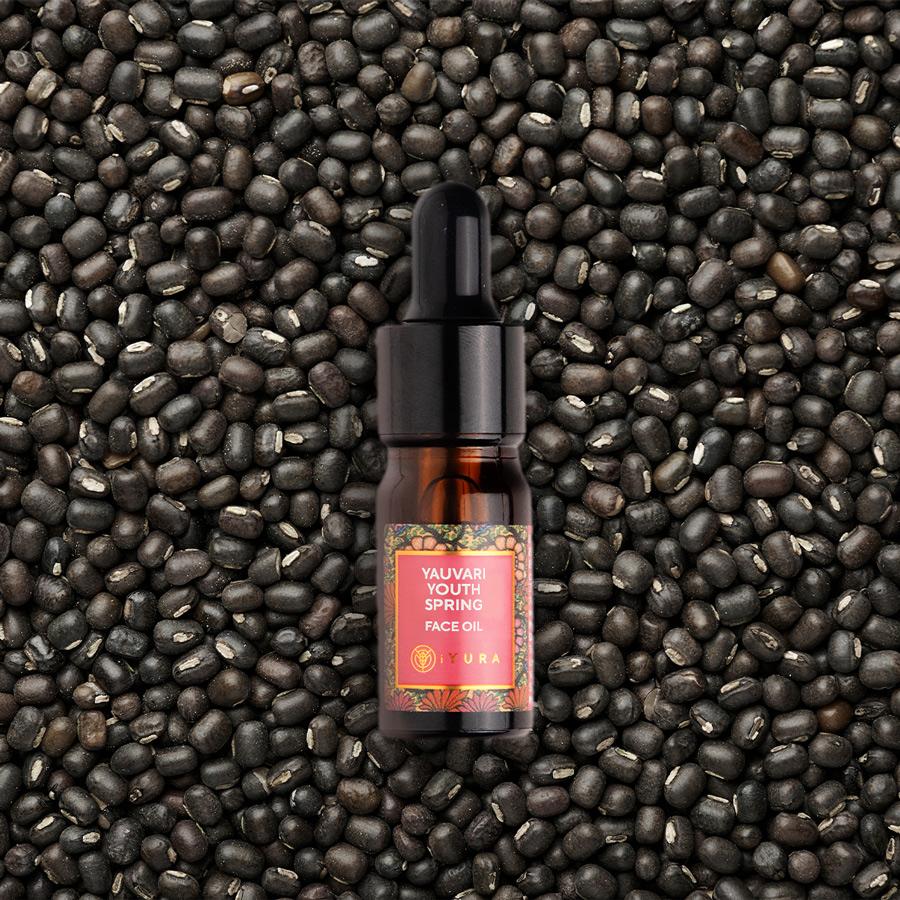 Yauvari with Black gram background