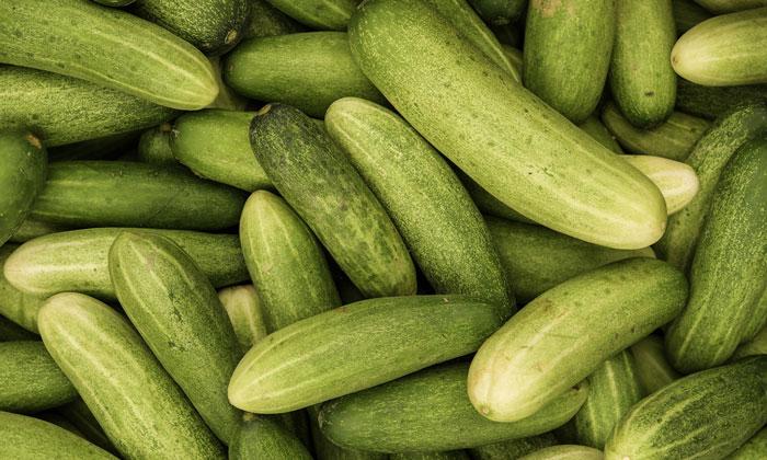 Cucumber