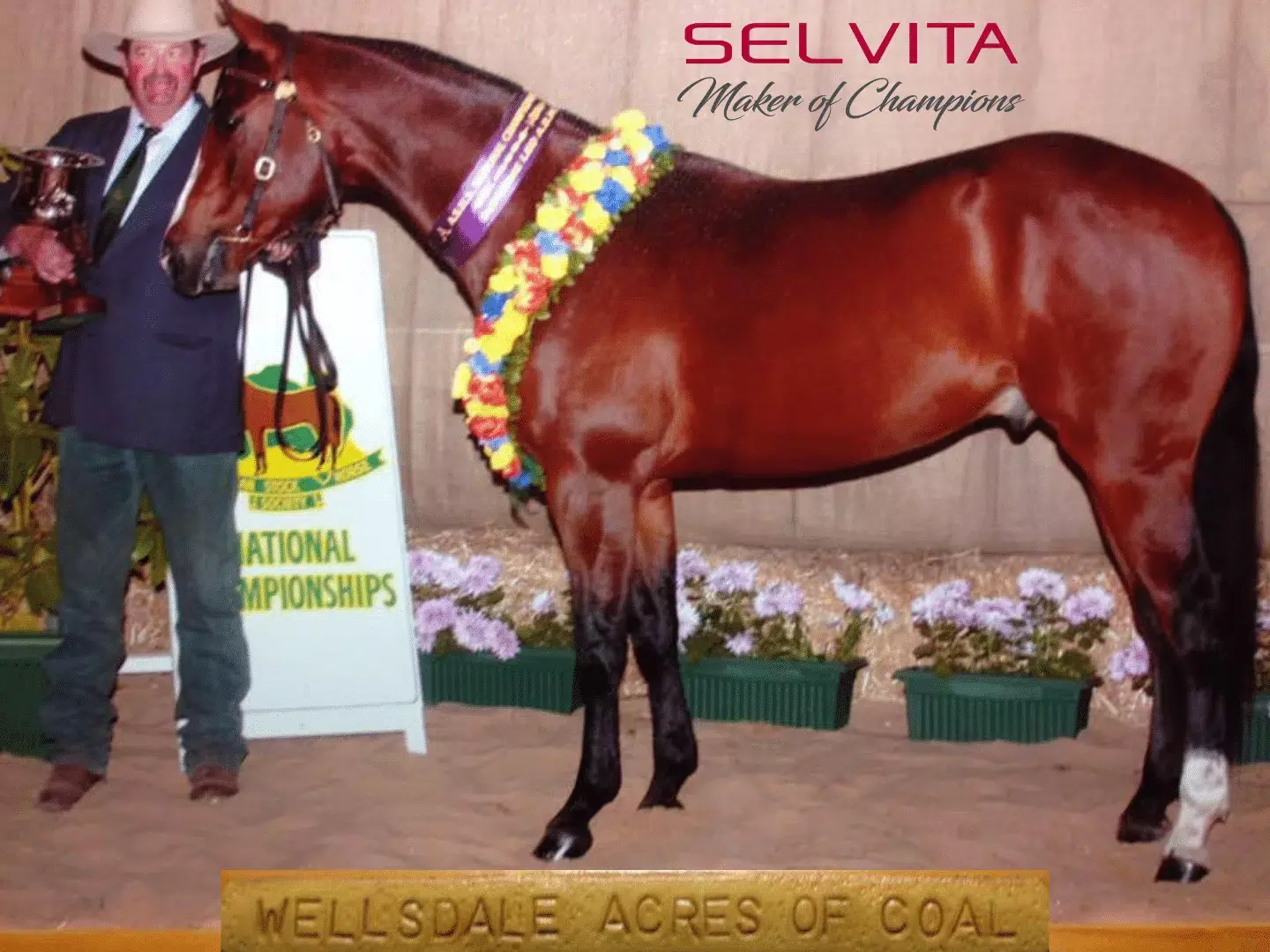 Selvita Equine Trainer and Horse winner