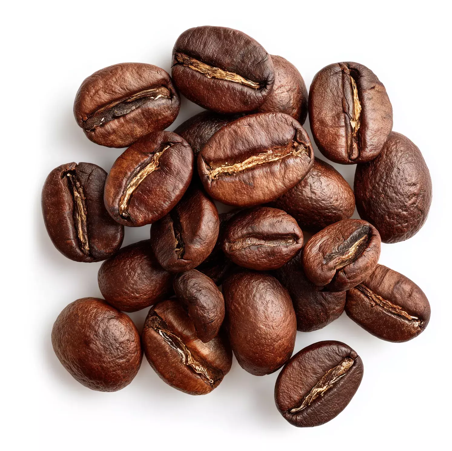 coffe seed oil