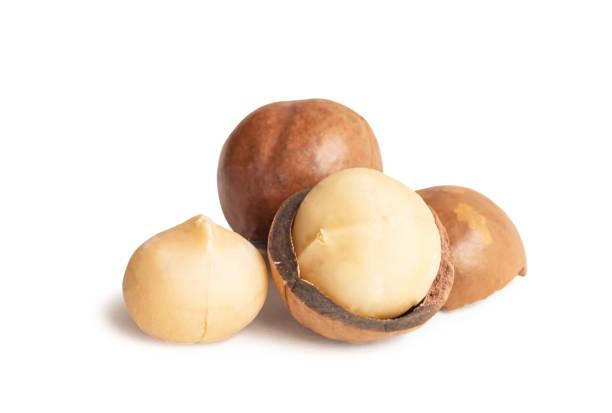 macadamia nuts shells