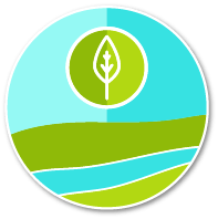 Kapha