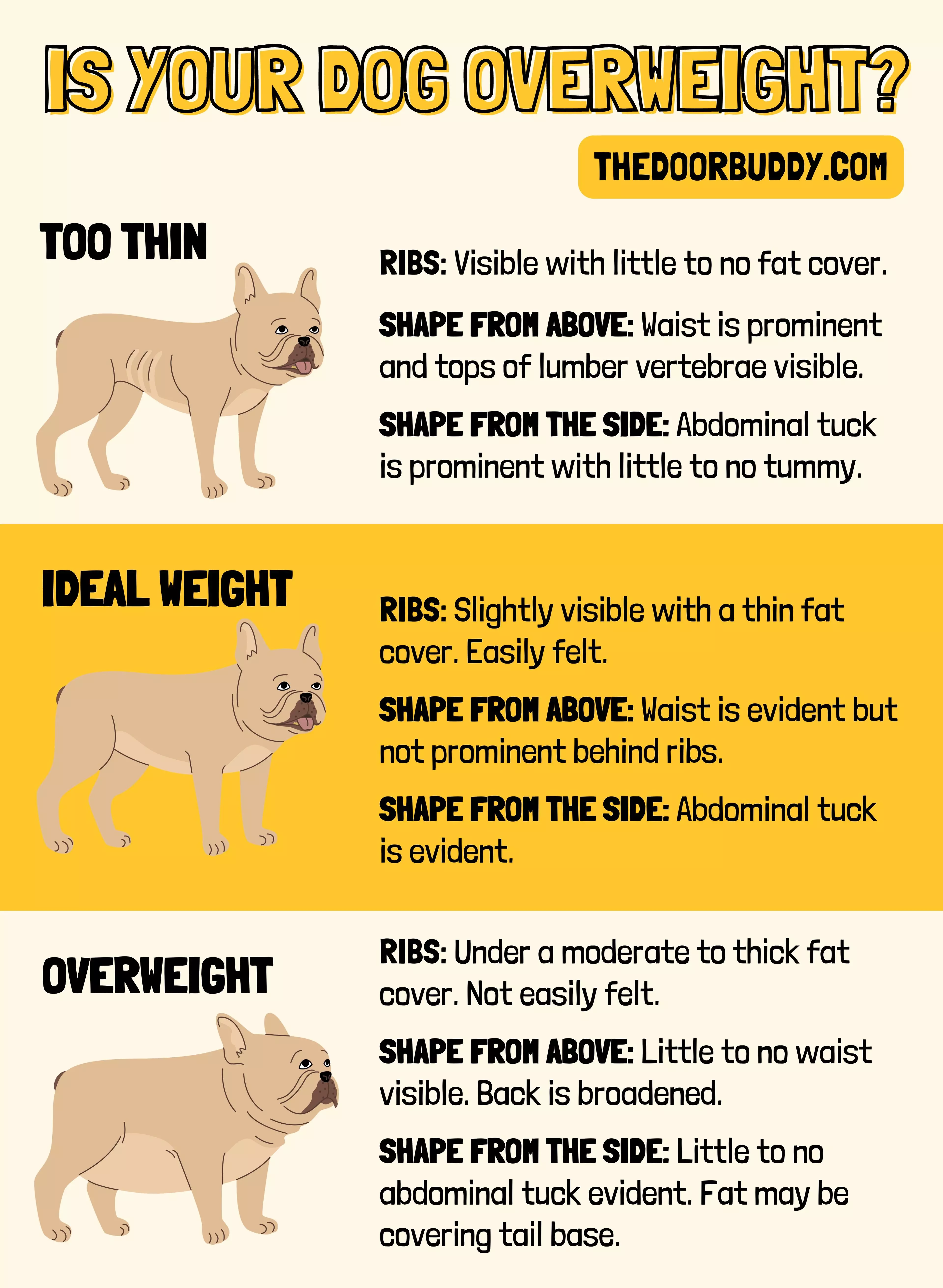 overweight dog chart