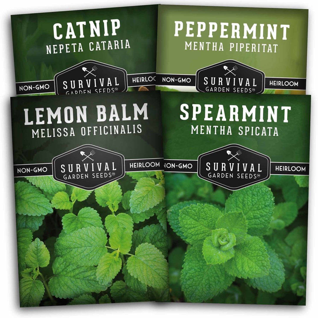 Mint Collection - 4 packets of heirloom mint seeds