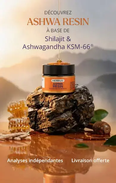 Pot d’Ashwa Resin posé sur un rocher, avec rayons de miel et racines d’ashwagandha