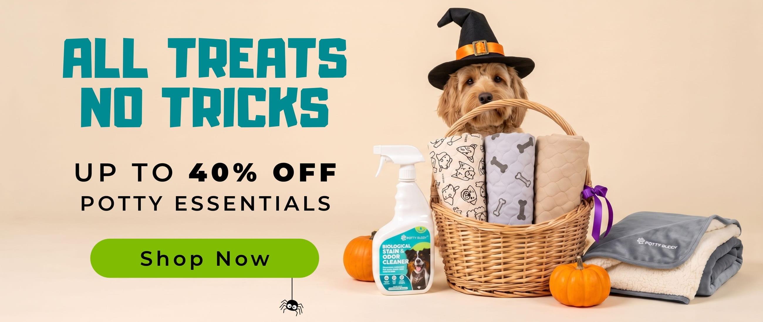 A banner showing a dog in a witch's hat and promotional text for Potty Buddy's Halloween Sale with up to 40% Off