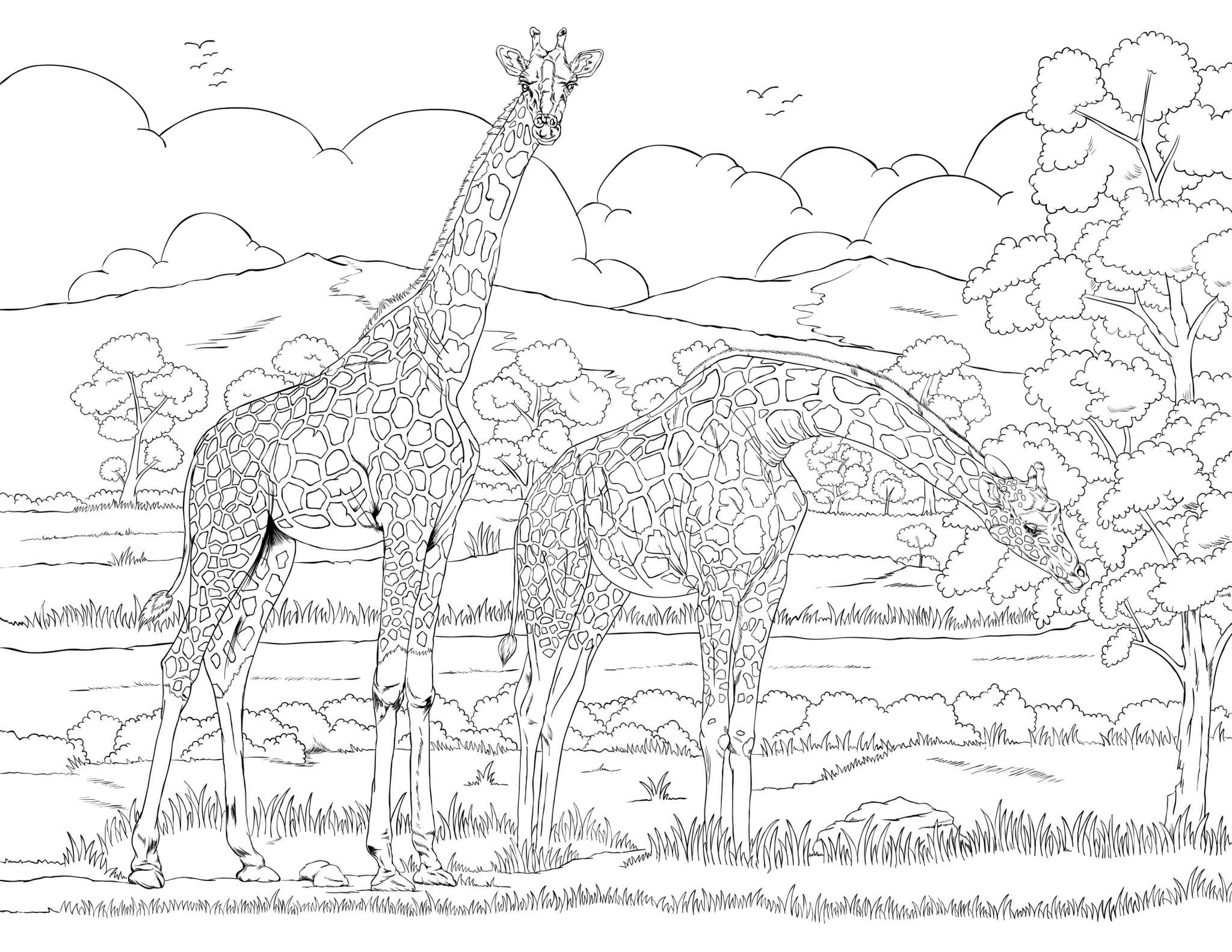 ColorIt Giraffe