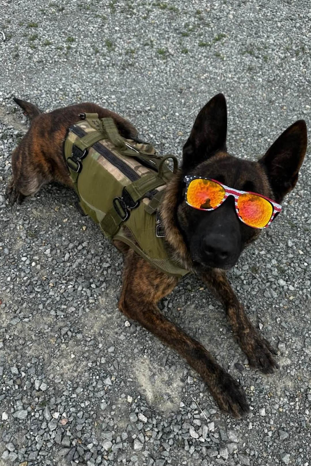 mpc bak wearing sunglasses