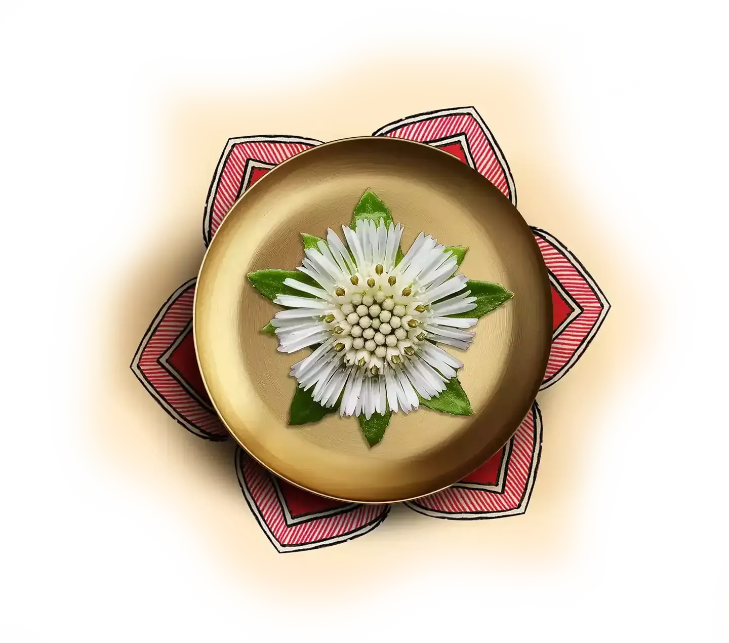 BHRINGRAJ