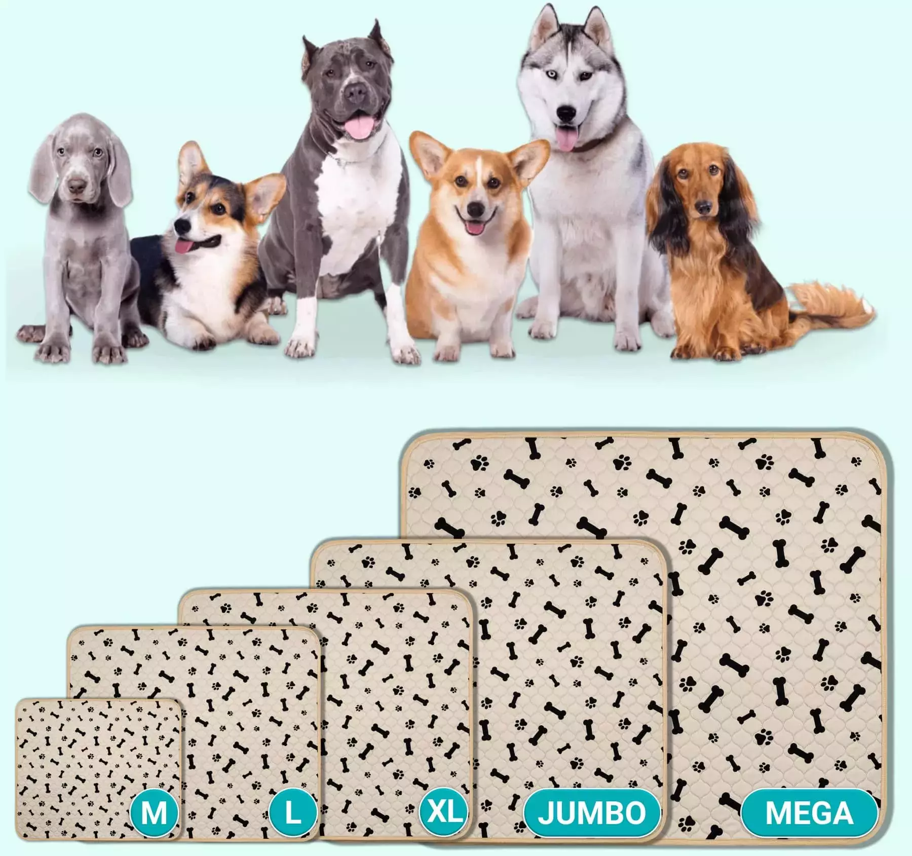 Puppy pad sizes best sale