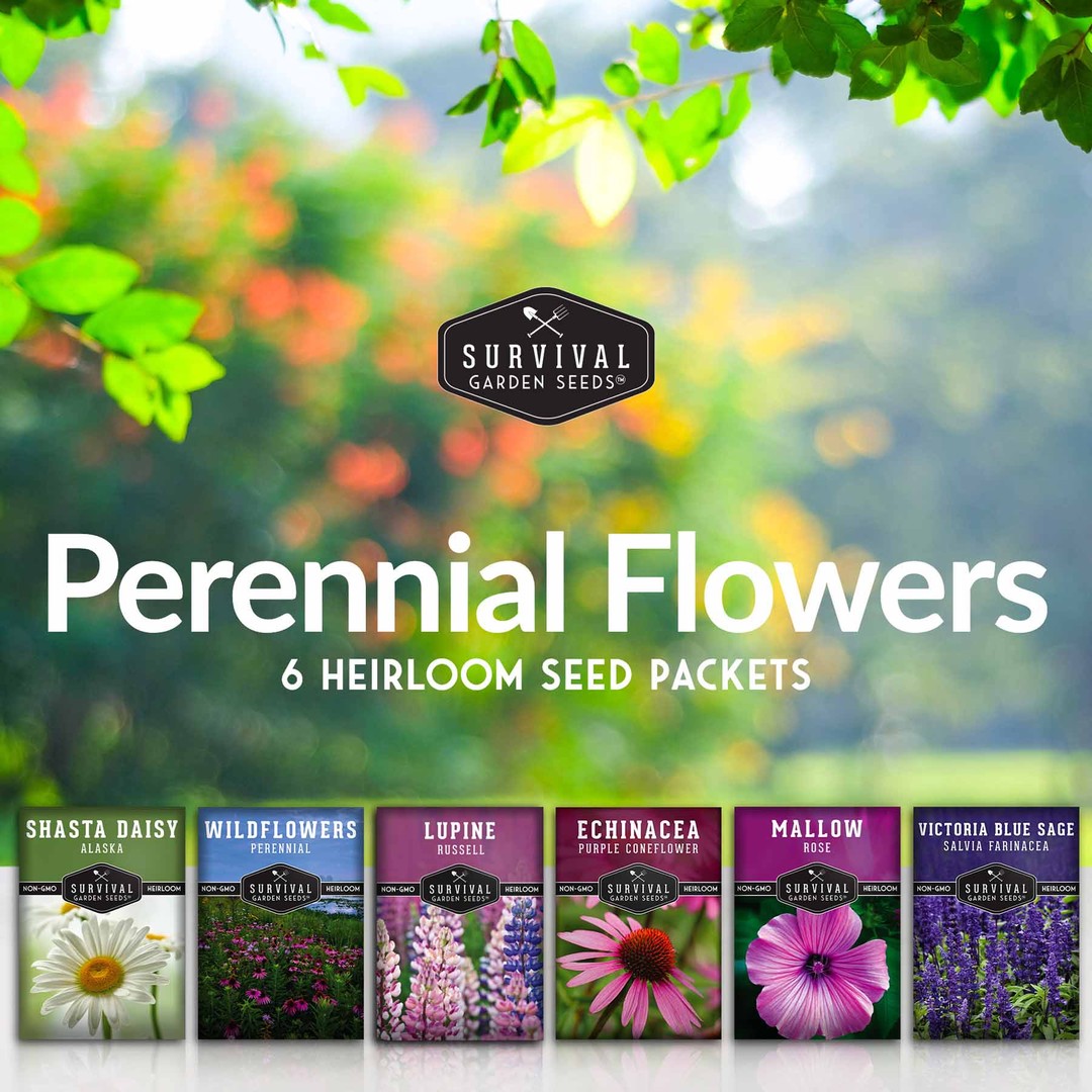 Perennial Flowers Seed Collection - 6 heirloom seed packets