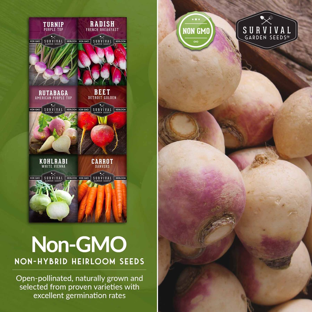non-gmo non-hybrid heirloom vegetable garden seeds