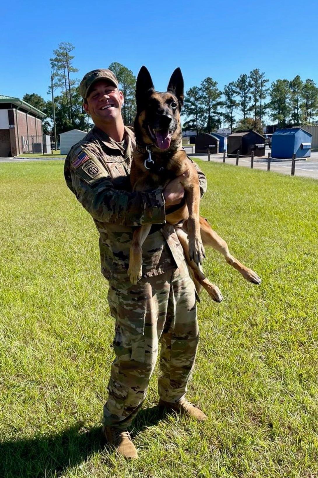 k9 aksel after surgery