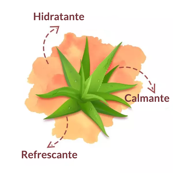 ALOE VERA GEL EXTRACT
