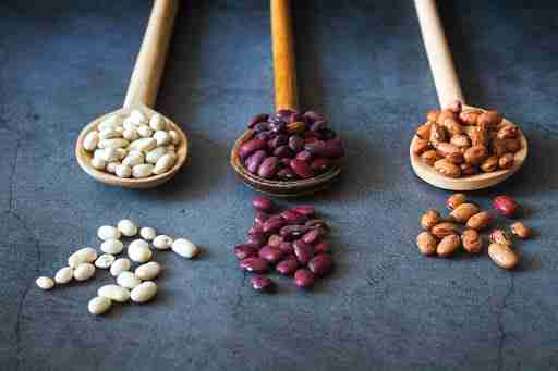 beans protein source