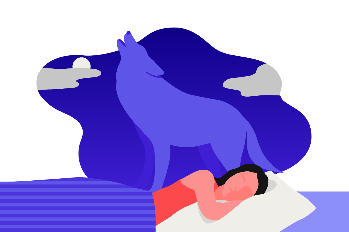 A girl asleep in bed with a wolf above her to represent the wolf chronotype.