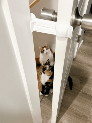 keep door ajar for cat