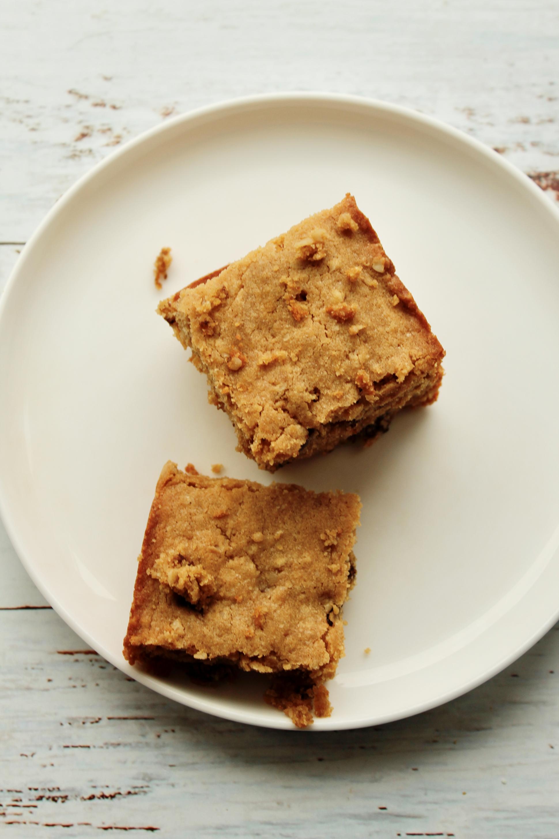 Salted Peanut Butter Protein Oat Bars Astroflav