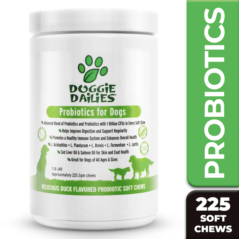 Our best probiotic for dogs is a safe and effectivve chewable suppleme