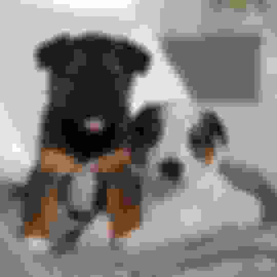 How to Wash Your Reusable Pee Pad Potty Buddy™