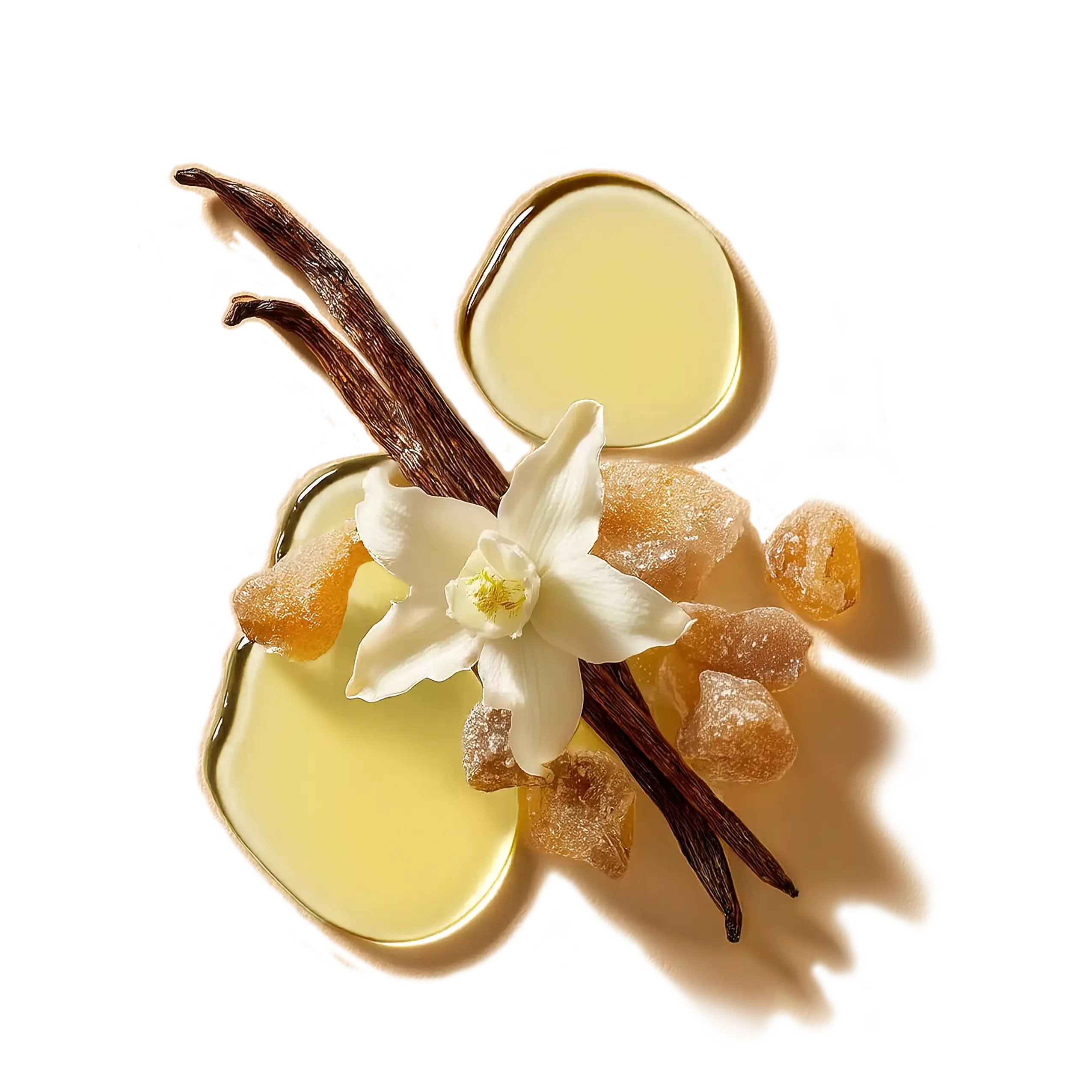 An aesthetic composition of few drops of Balaayah, frankincense, vanilla beans and it's flower