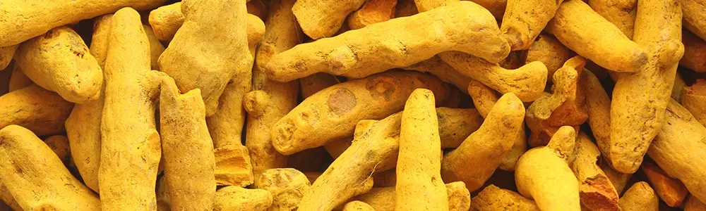 TURMERIC