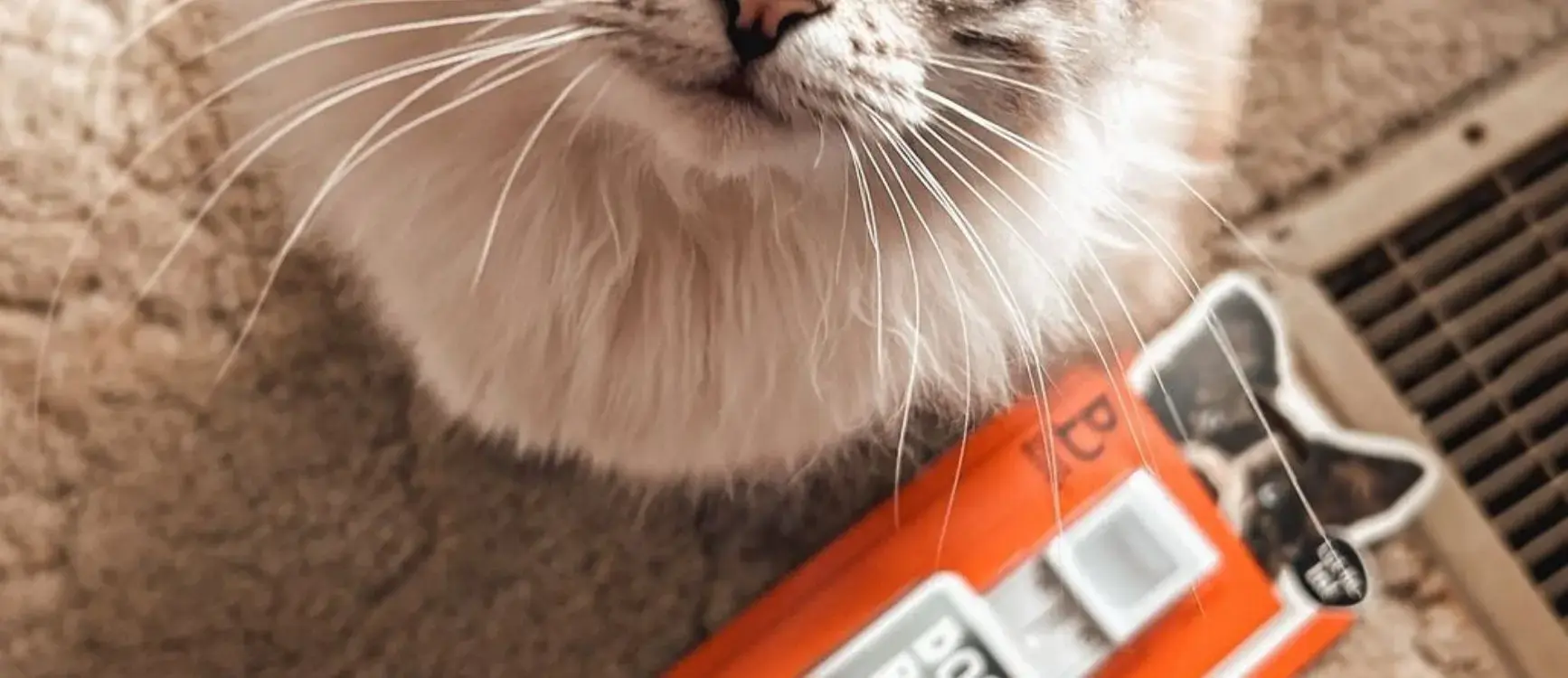 A cat's face and whiskers up close, with a Door Buddy Cat Door Prop package softly blurred in the background