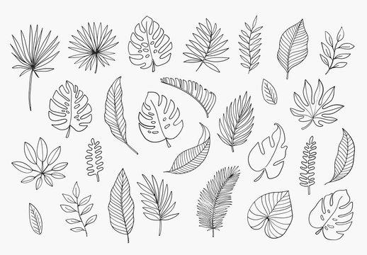 Work-in-progress digital illustrations of the Prism Monstera collection, showing the graphic design workflow and templates used to map artwork onto modular glass bongs.