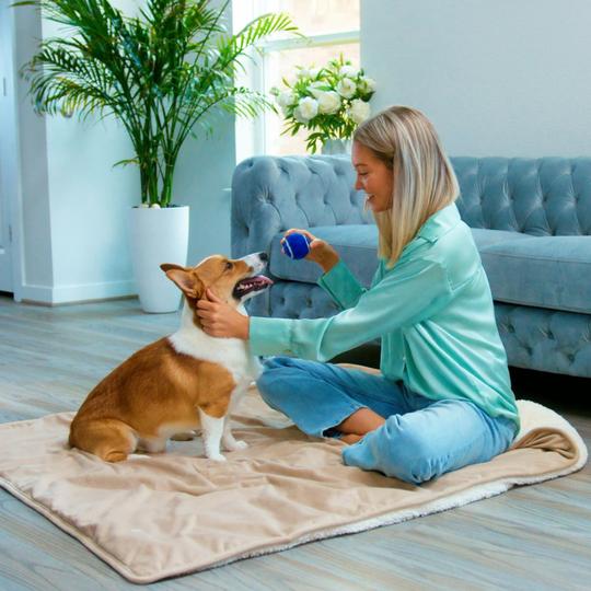 Waterproof pet blankets potty buddy 
