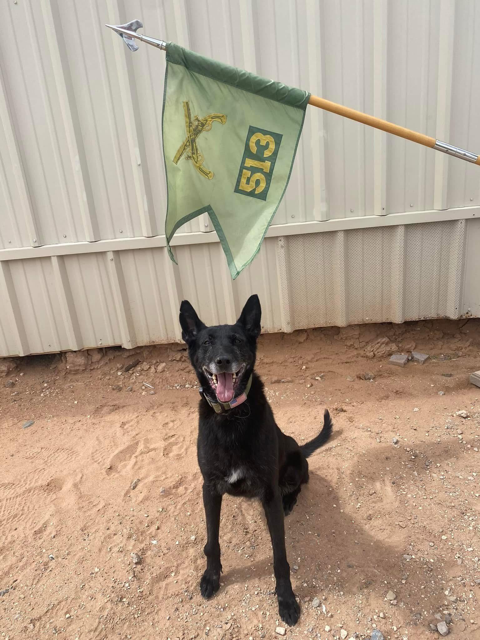 mwd zera