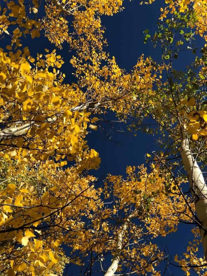 fall in Colorado