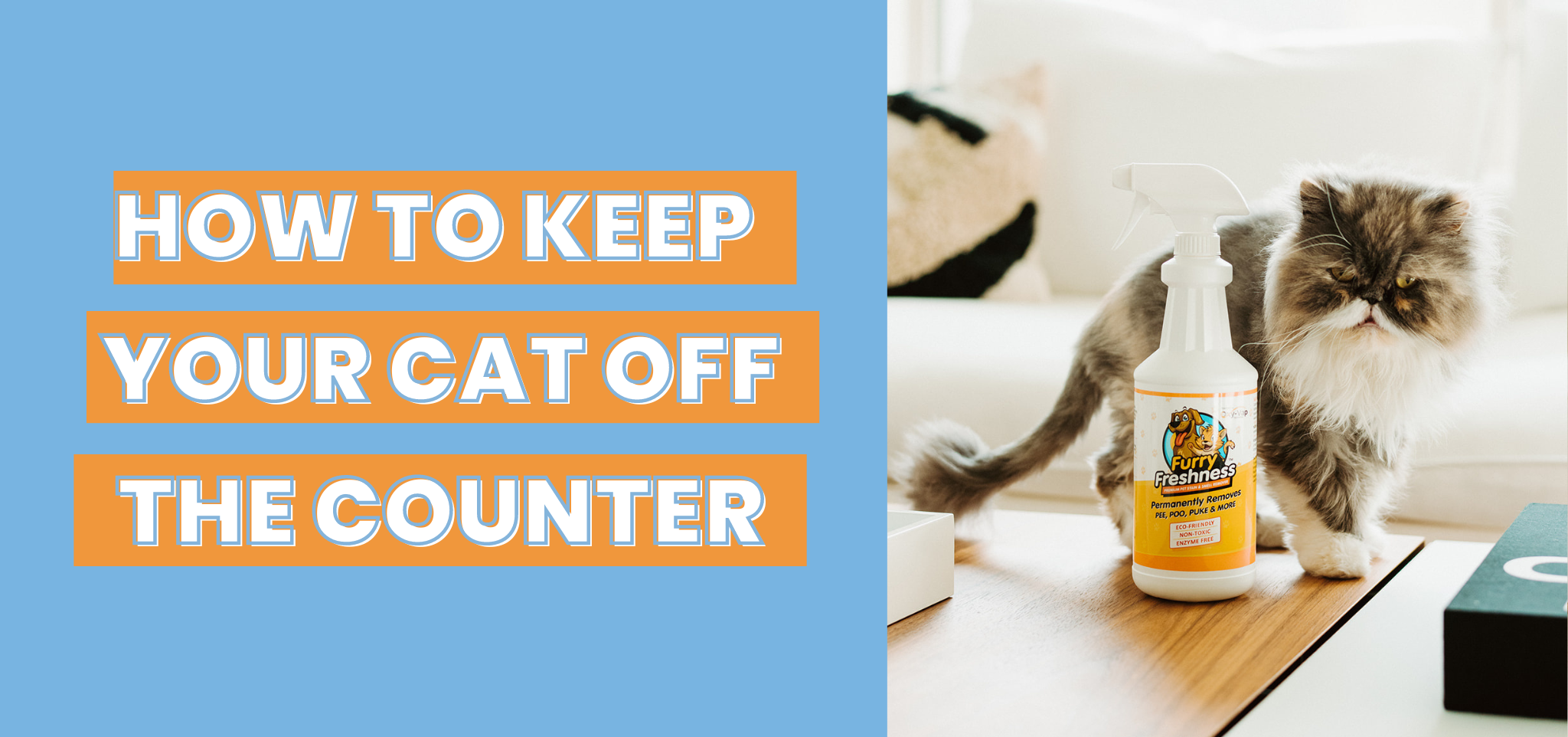 How to Keep Your Cat Off the Counter FurryFreshness Premium Stain and
