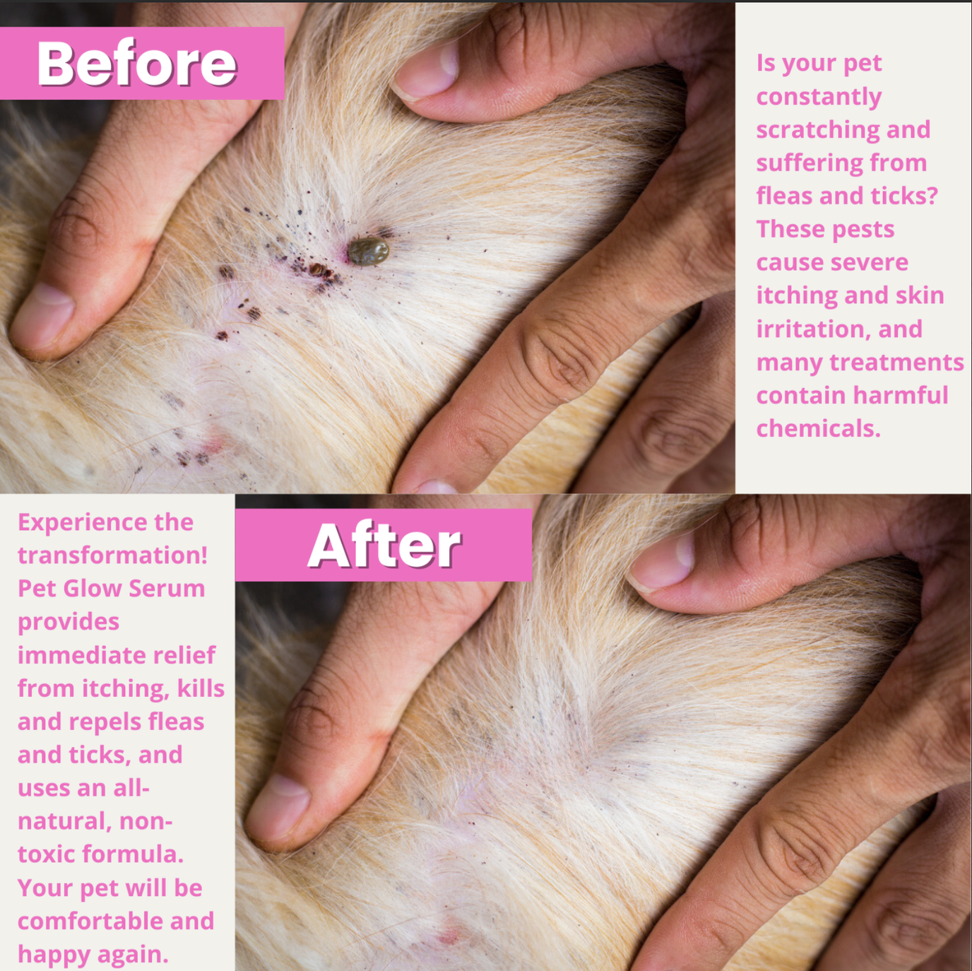Natural Flea Treatment for Dogs and Cats Non toxic