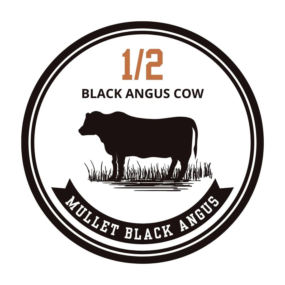 1/2 Black Angus Cow