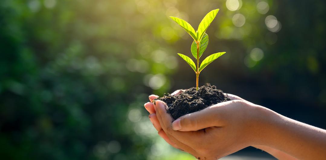 Growing Green Communities