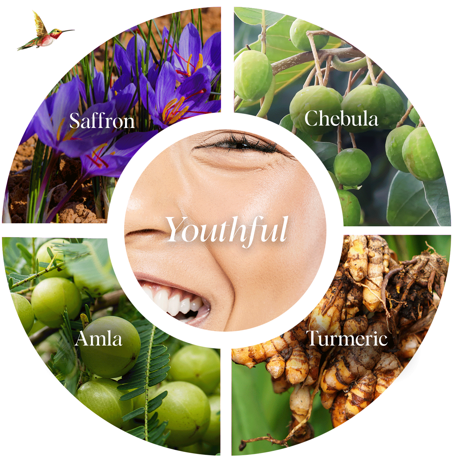 Ayurvedic ingredients that will act as a targeted solution for your aging skin concerns - without causing any additional damage.