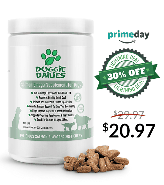Amazon Prime Day Deals! 30% Off Our Salmon Omega Soft Chews for Dogs