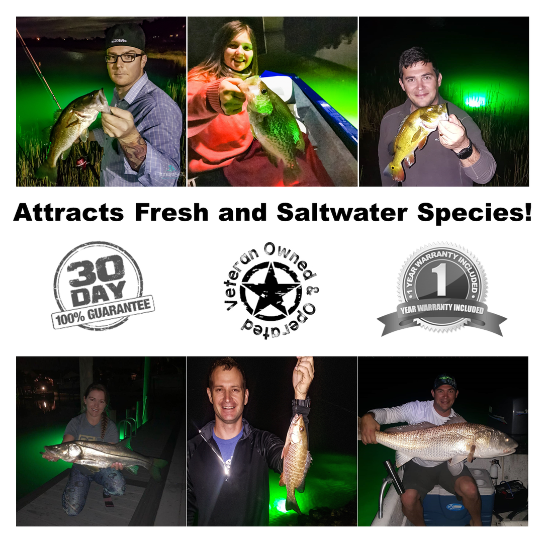 Fishing lights attract fresh and saltwater fish