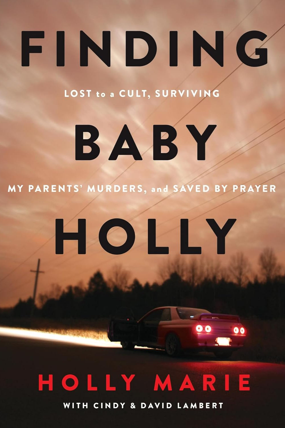 Finding Baby Holly my Holly Marie (Christian True-Crime Memoir)