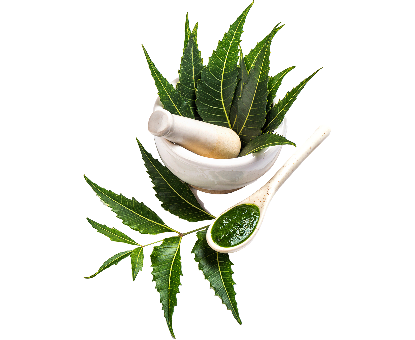 Neem