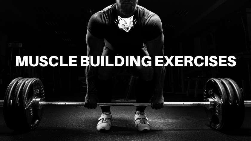 The Top 7 Muscle Building Exercises - Black Magic Supply