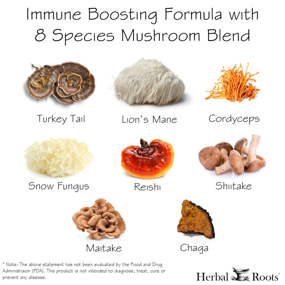 Organic 8 Mushrooms Blend for Immune Support - 60 VegCaps - Herbal Roots