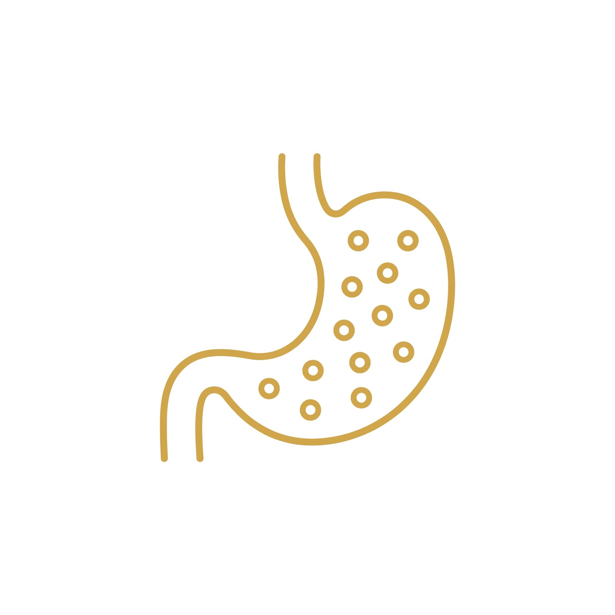 Prebiotic Fiber