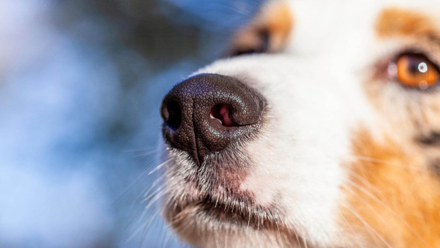 Gallery image with a fresh perspective